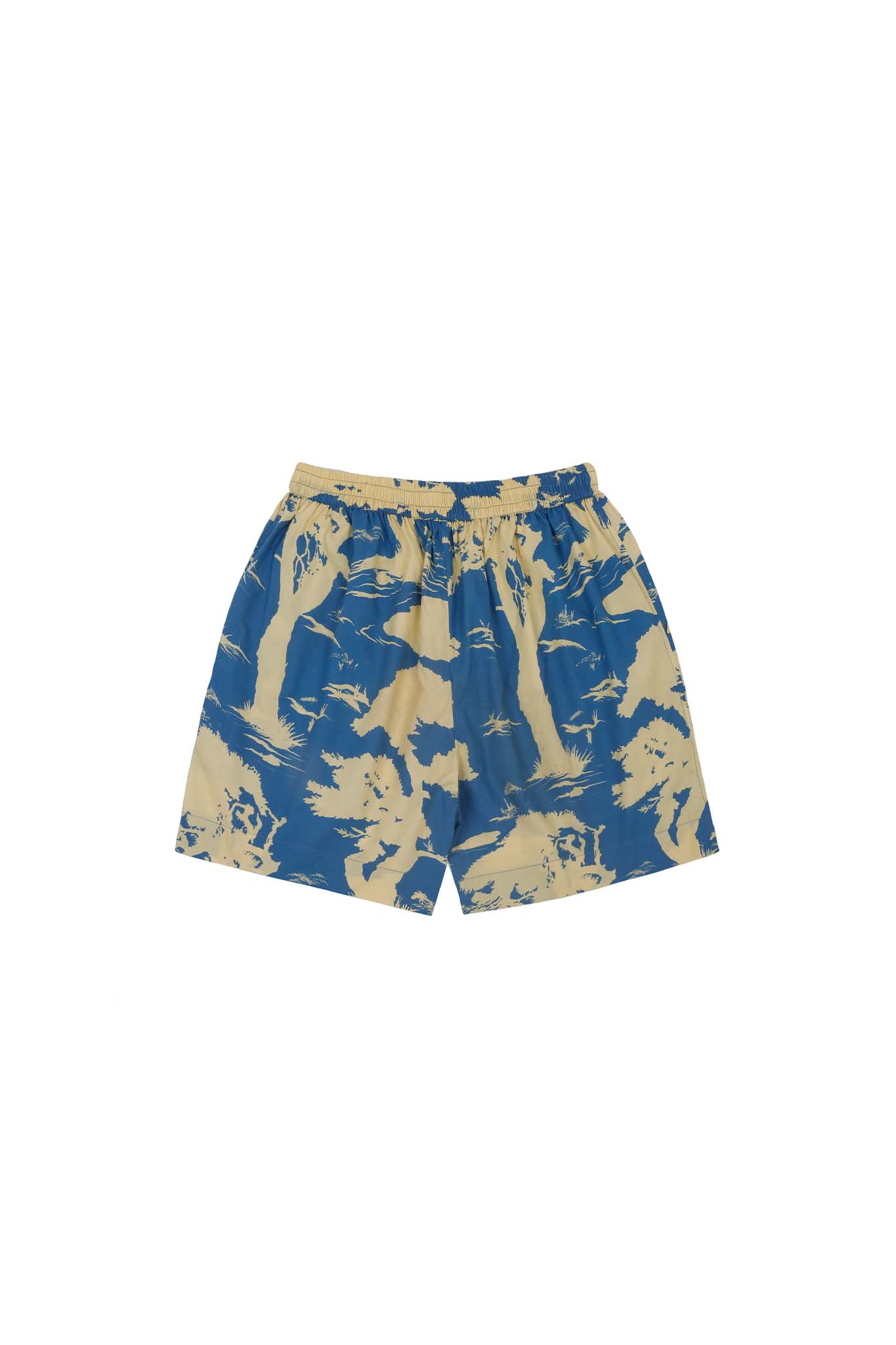 Rainforest Shorts (Blue)